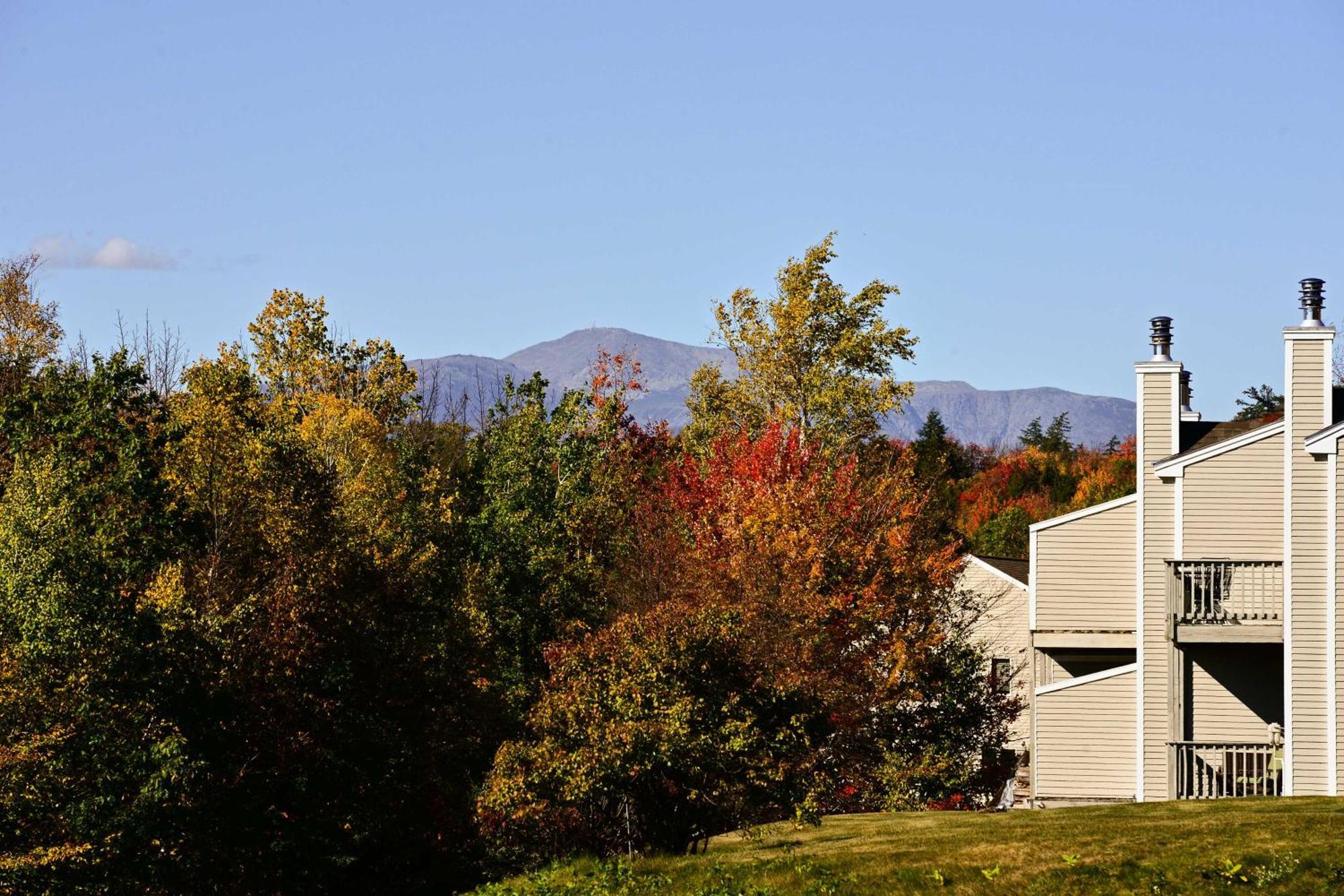 Bartlett Condo With Mountain Views Near Ski Resorts! Esterno foto